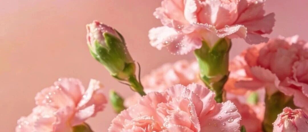 花花.jpg